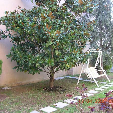 Hotel Trieste Senigallia Exterior foto