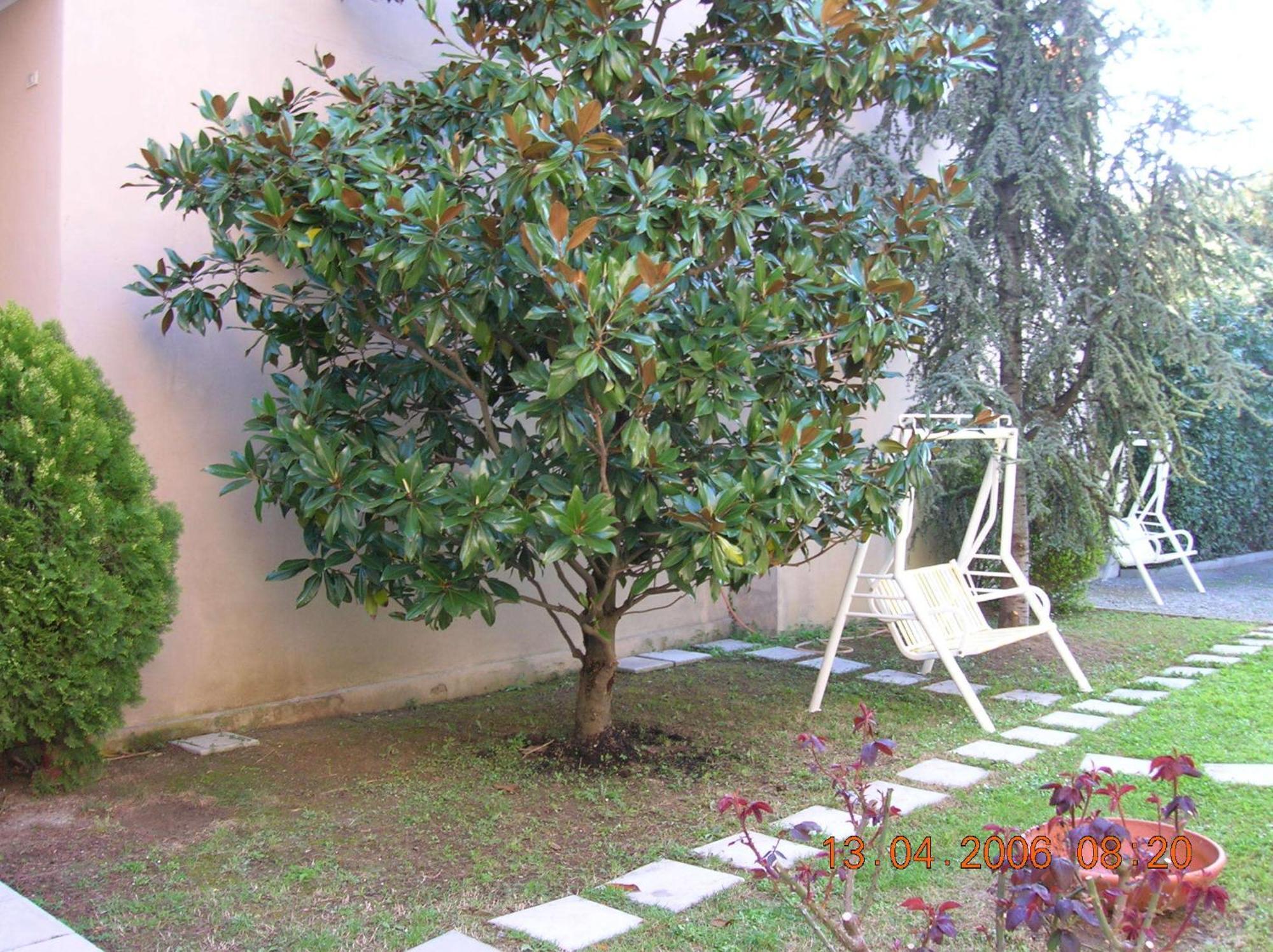 Hotel Trieste Senigallia Exterior foto